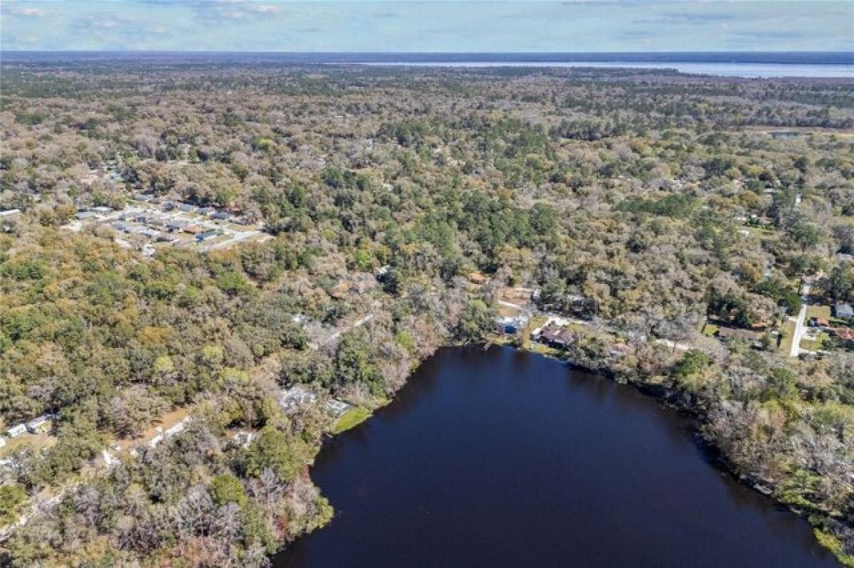 Picture of Home For Sale in Gainesville, Florida, United States