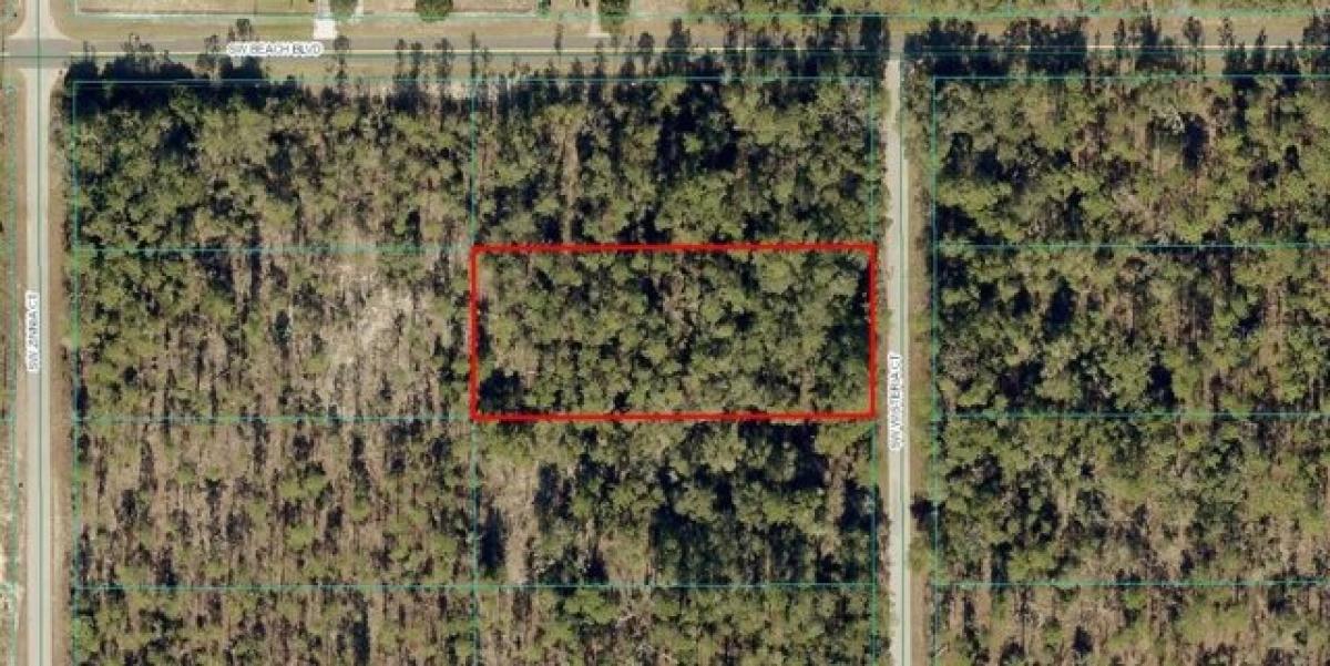 Picture of Residential Land For Sale in Dunnellon, Florida, United States