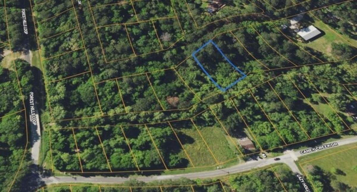 Picture of Residential Land For Sale in Livingston, Texas, United States