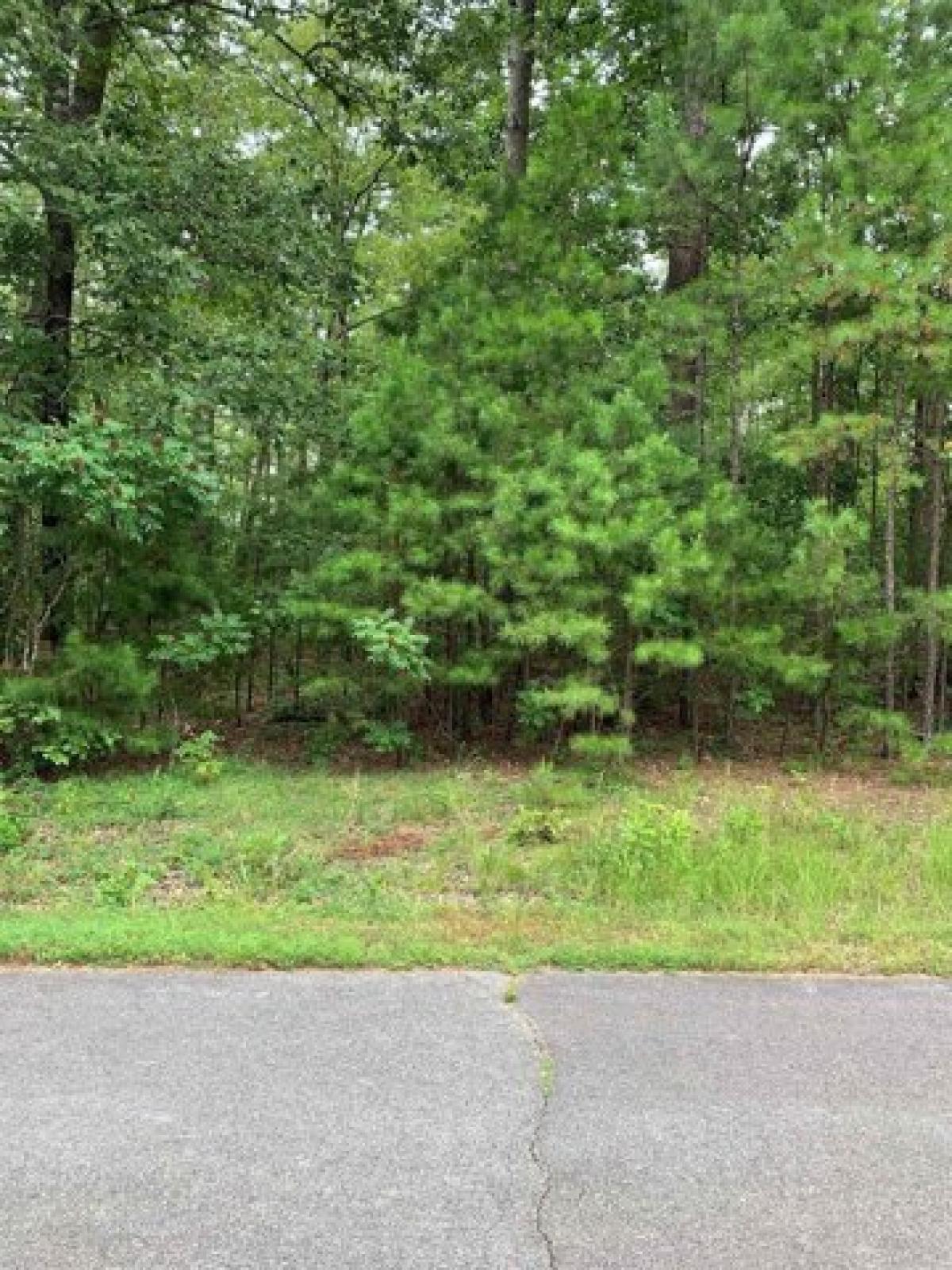 Picture of Residential Land For Rent in Hot Springs Village, Arkansas, United States