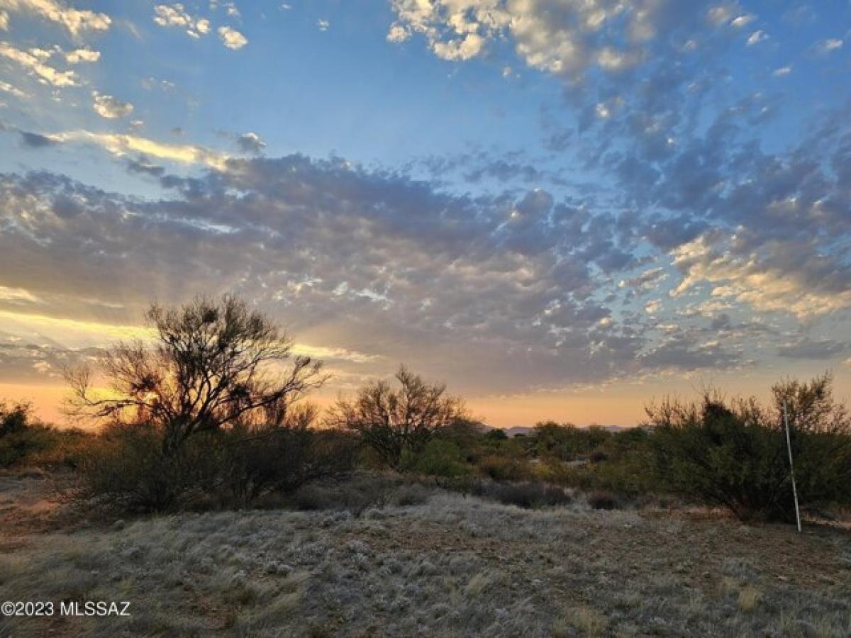 Picture of Residential Land For Sale in Tucson, Arizona, United States