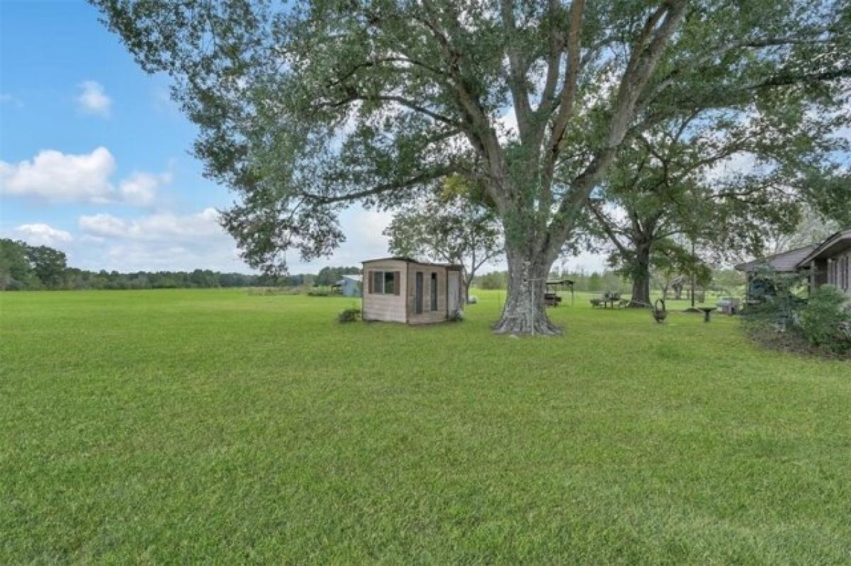 Picture of Residential Land For Sale in Conroe, Texas, United States