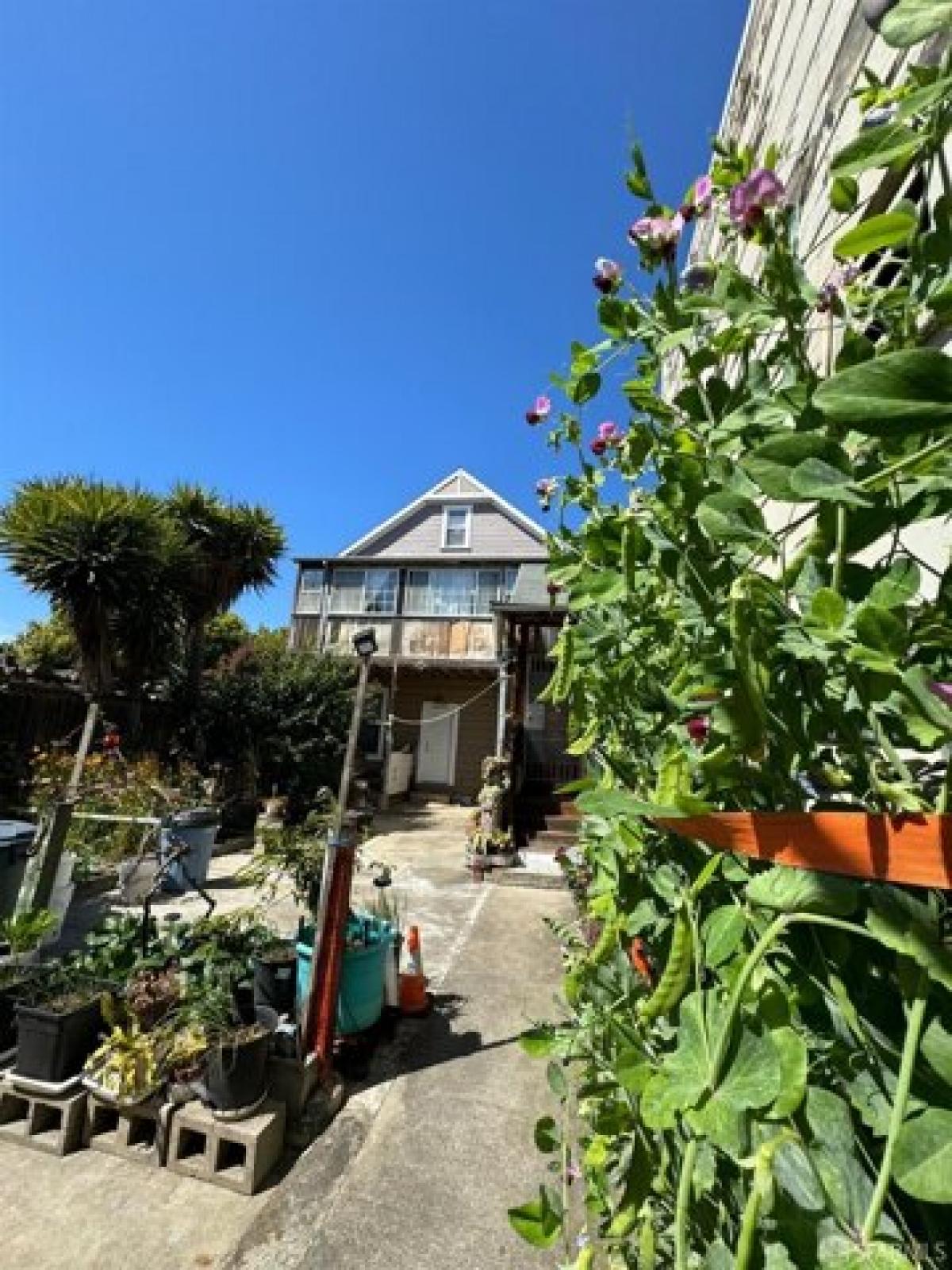 Picture of Home For Sale in San Francisco, California, United States