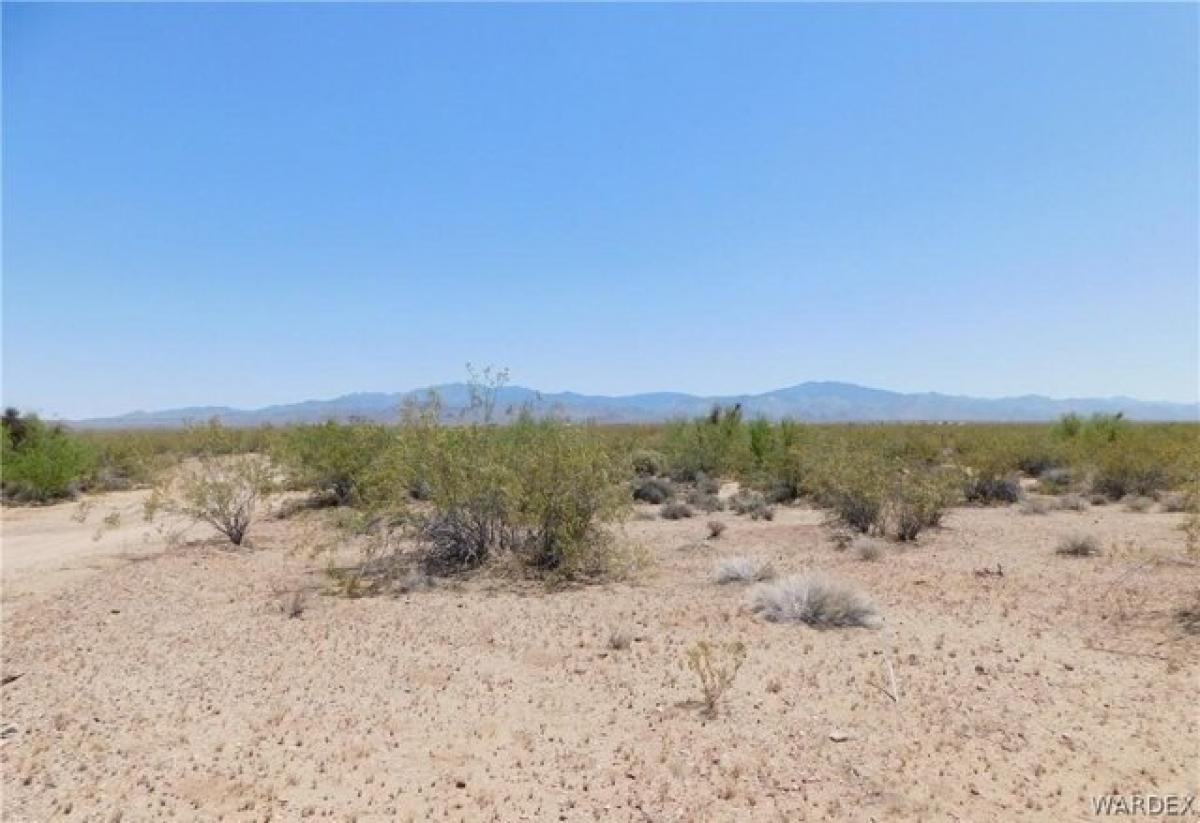 Picture of Residential Land For Rent in Golden Valley, Arizona, United States