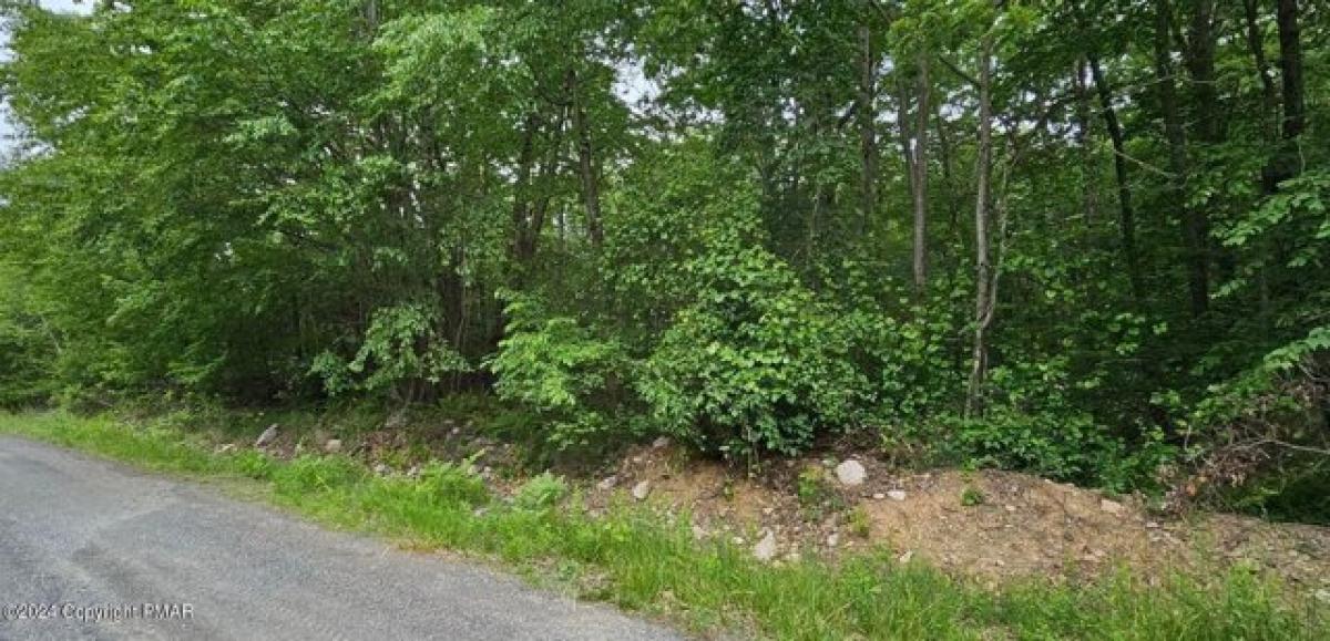 Picture of Residential Land For Rent in Jim Thorpe, Pennsylvania, United States
