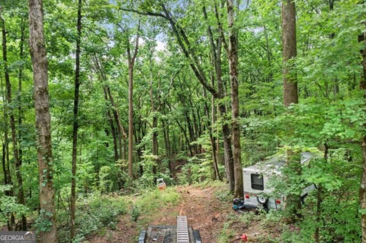 Picture of Residential Land For Sale in Jasper, Georgia, United States