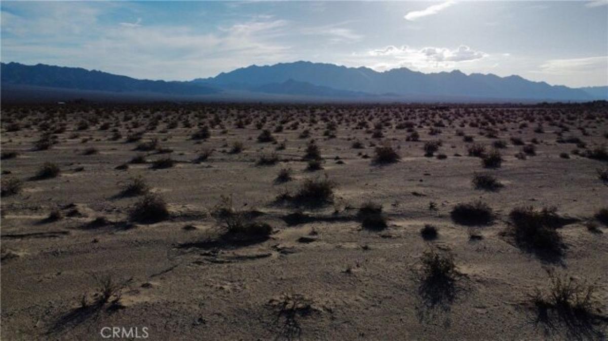 Picture of Residential Land For Sale in Twentynine Palms, California, United States