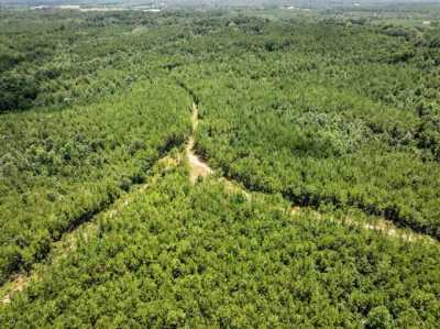 Residential Land For Sale in Waynesboro, Mississippi