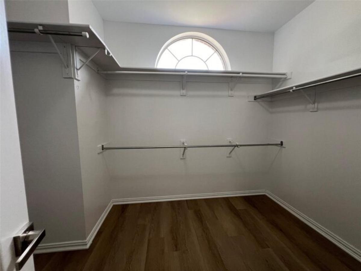 Picture of Home For Rent in Plano, Texas, United States