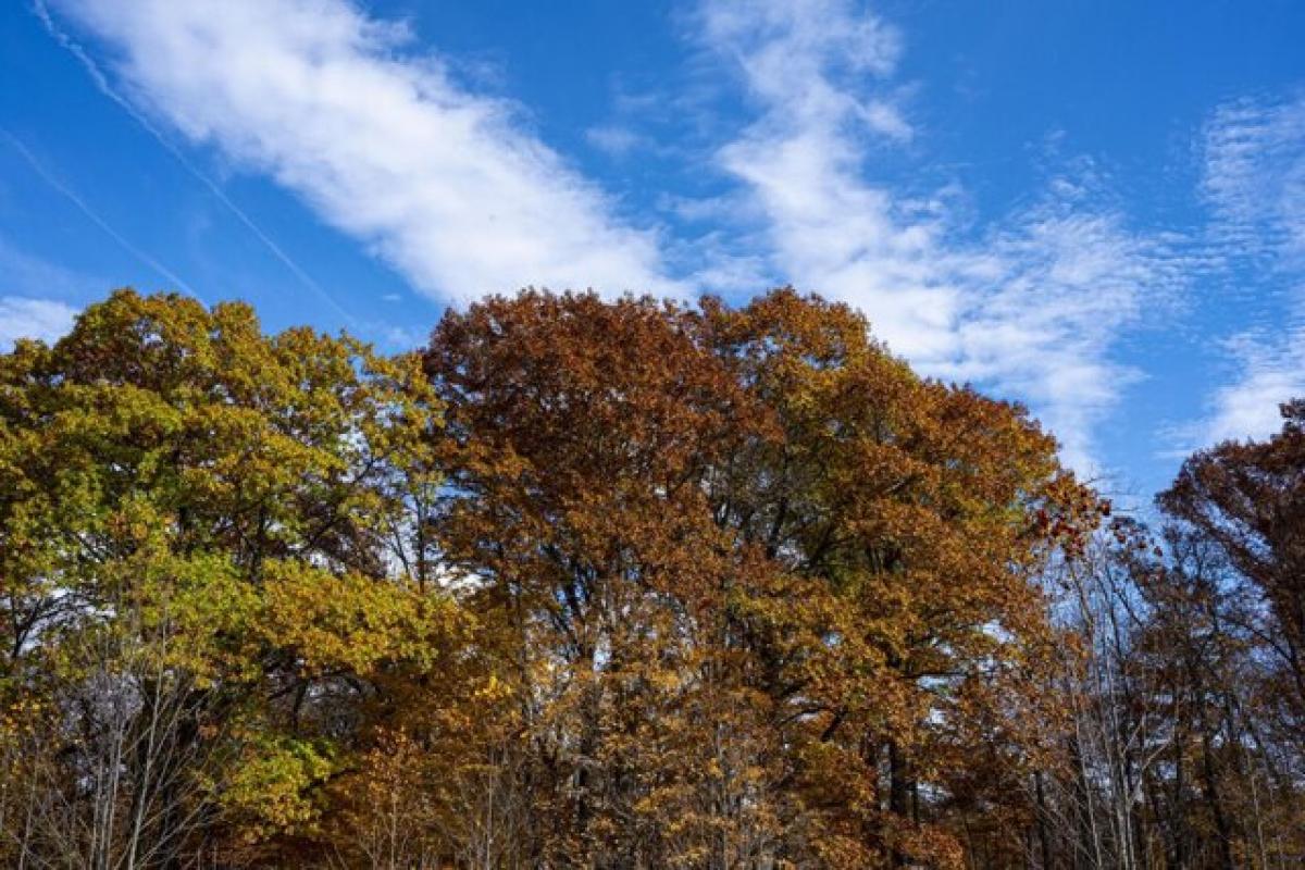 Picture of Residential Land For Sale in La Porte, Indiana, United States