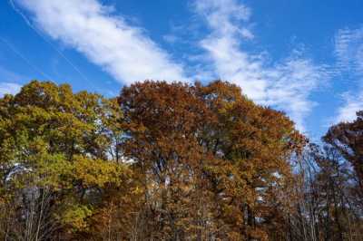 Residential Land For Sale in 