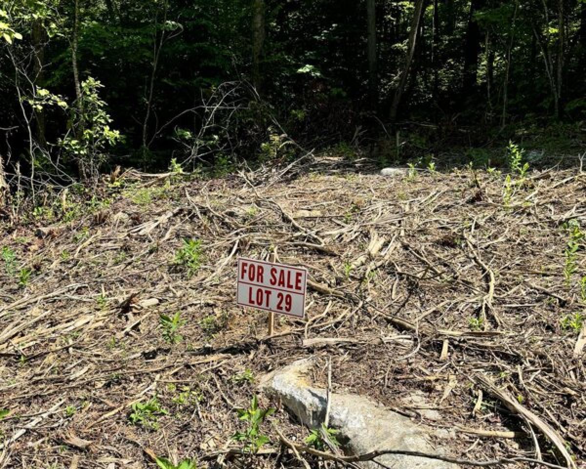 Picture of Residential Land For Sale in Somerset, Kentucky, United States