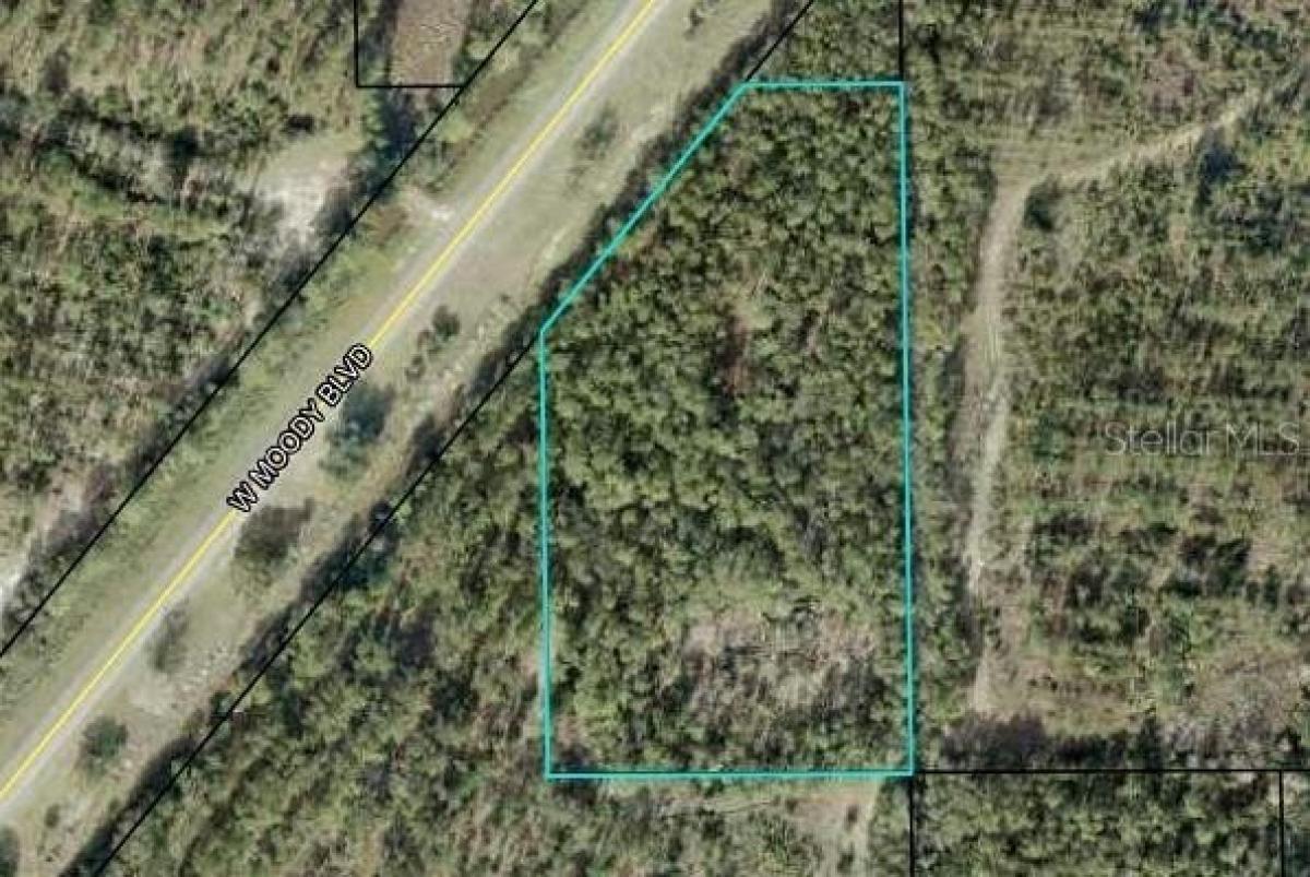 Picture of Residential Land For Sale in Bunnell, Florida, United States