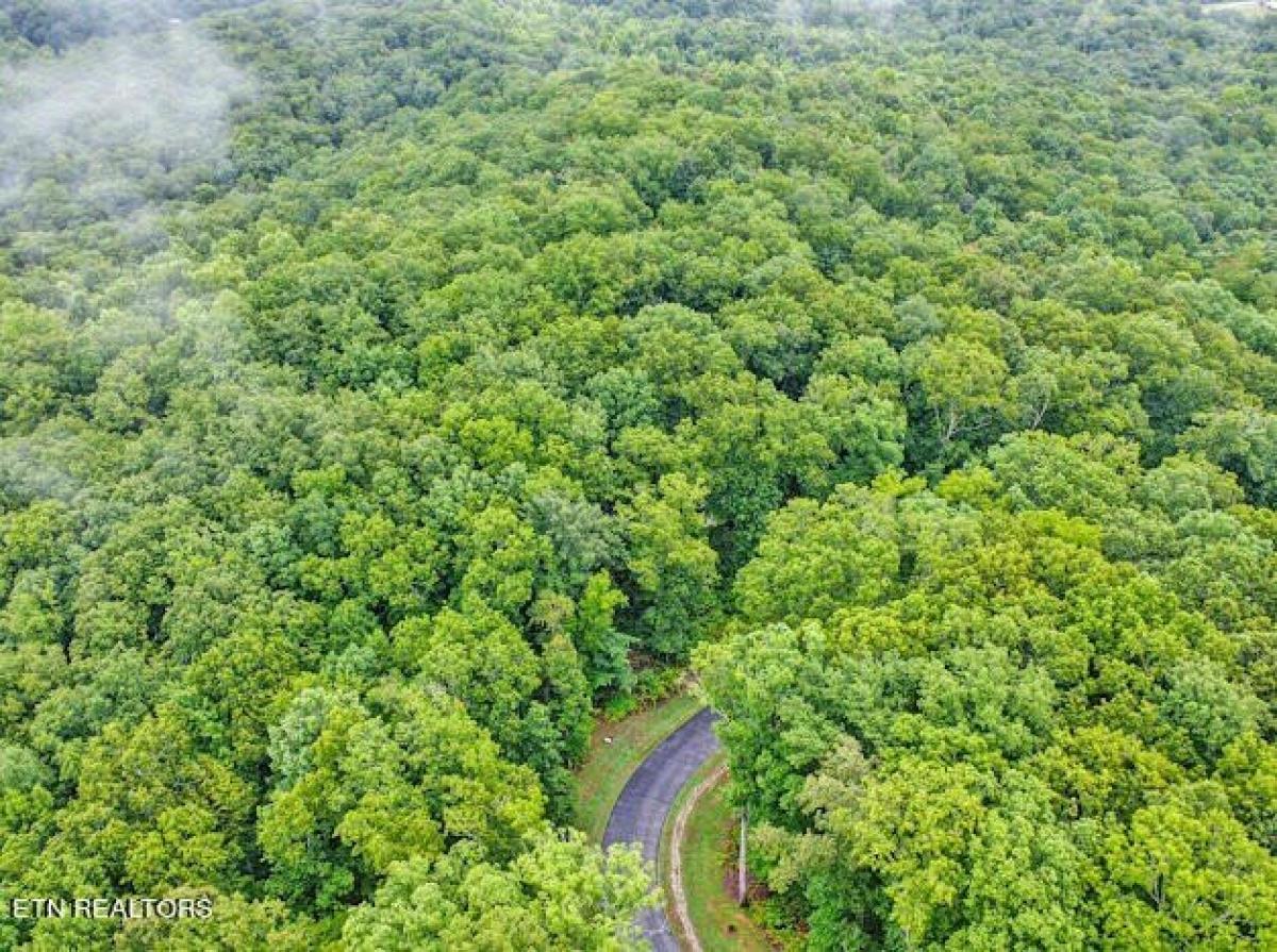 Picture of Residential Land For Sale in Rockwood, Tennessee, United States
