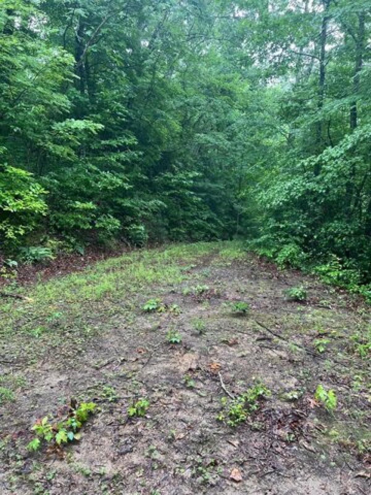 Picture of Residential Land For Sale in Franklin, North Carolina, United States