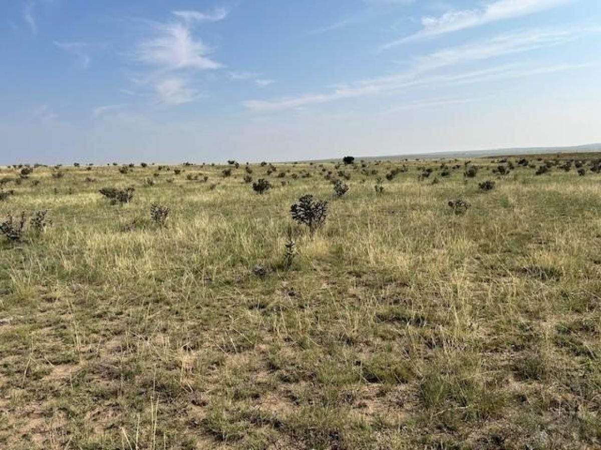 Picture of Residential Land For Sale in Walsenburg, Colorado, United States