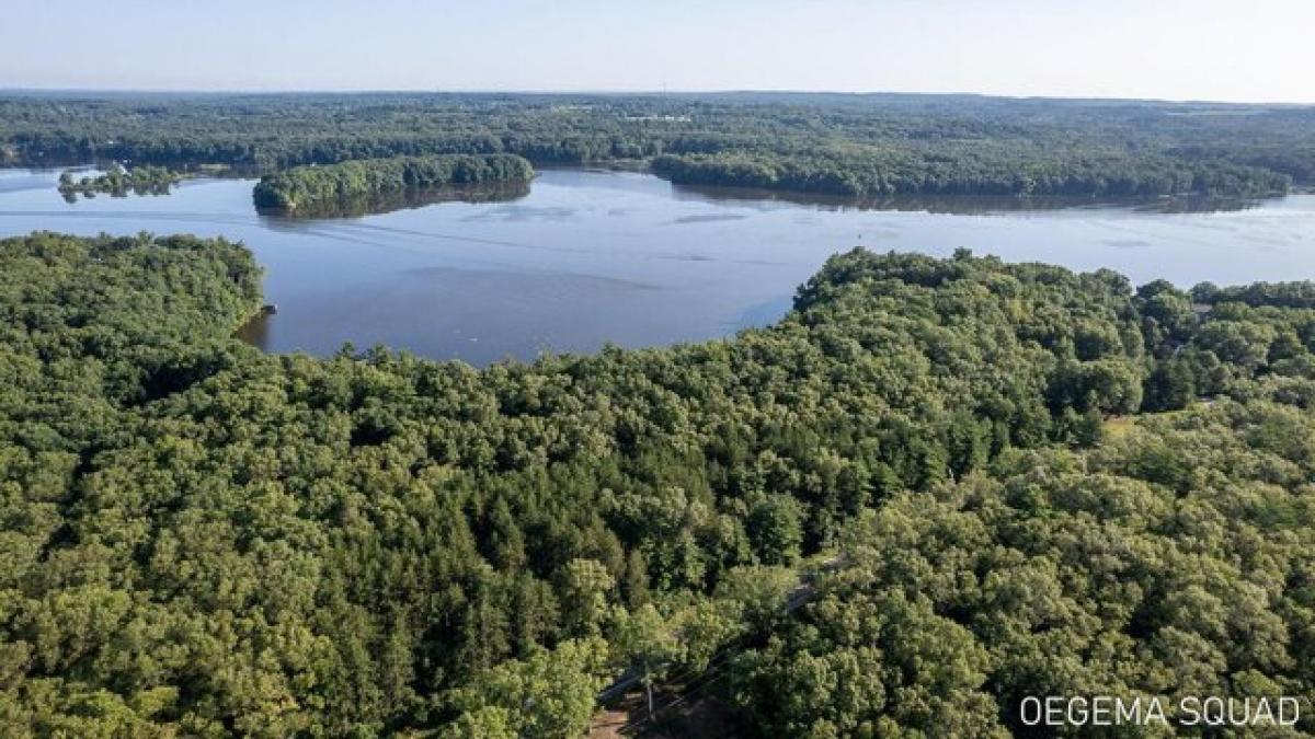 Picture of Residential Land For Sale in Allegan, Michigan, United States