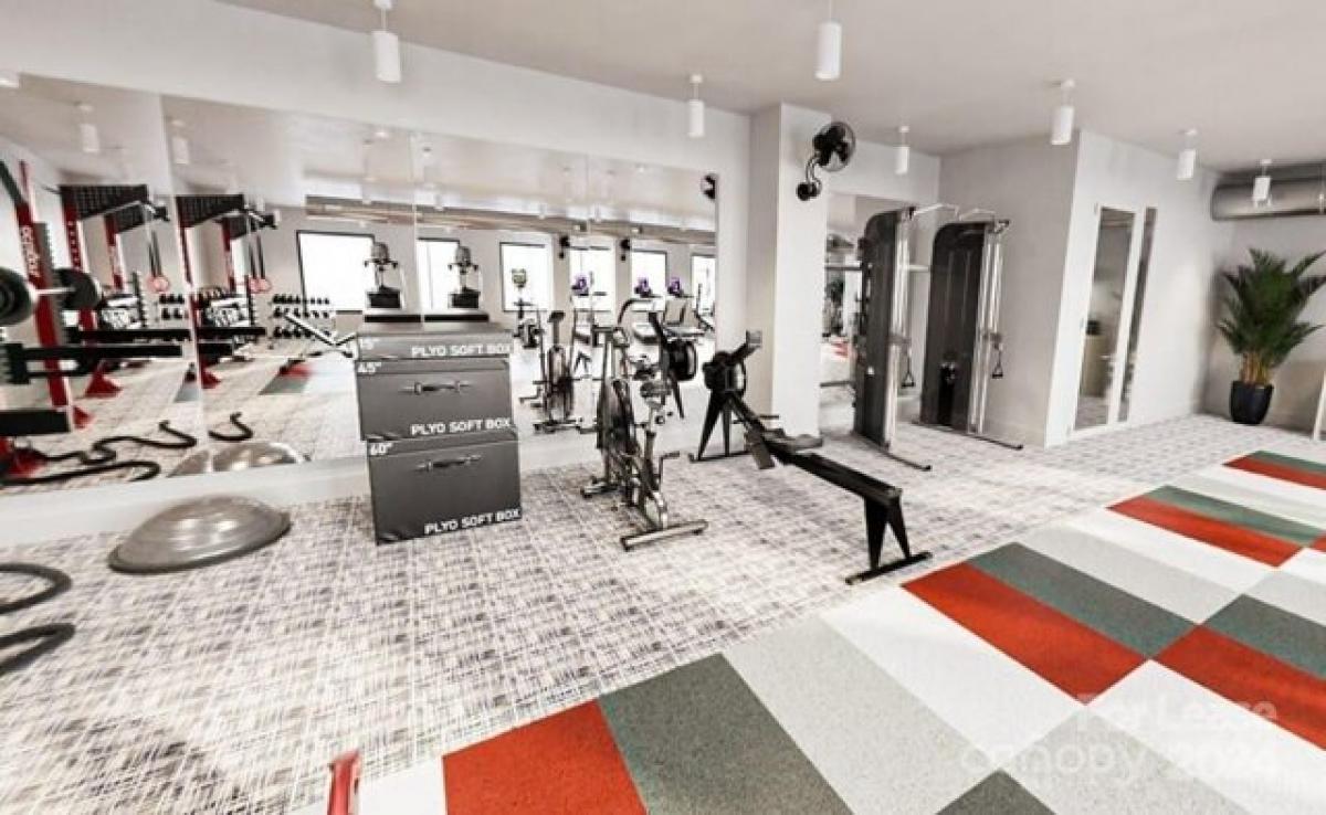 Picture of Apartment For Rent in Charlotte, North Carolina, United States