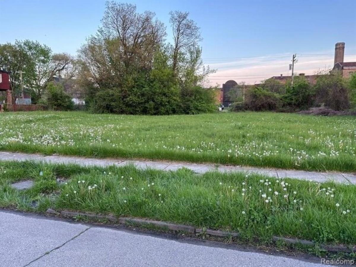 Picture of Residential Land For Sale in Detroit, Michigan, United States