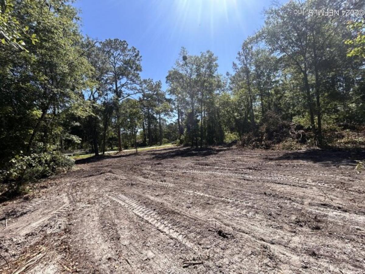 Picture of Residential Land For Sale in Palatka, Florida, United States