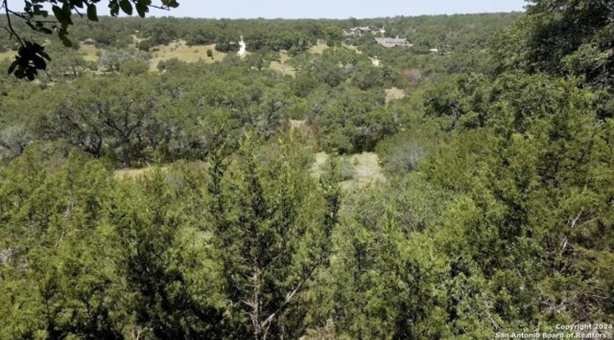 Picture of Residential Land For Sale in Spring Branch, Texas, United States