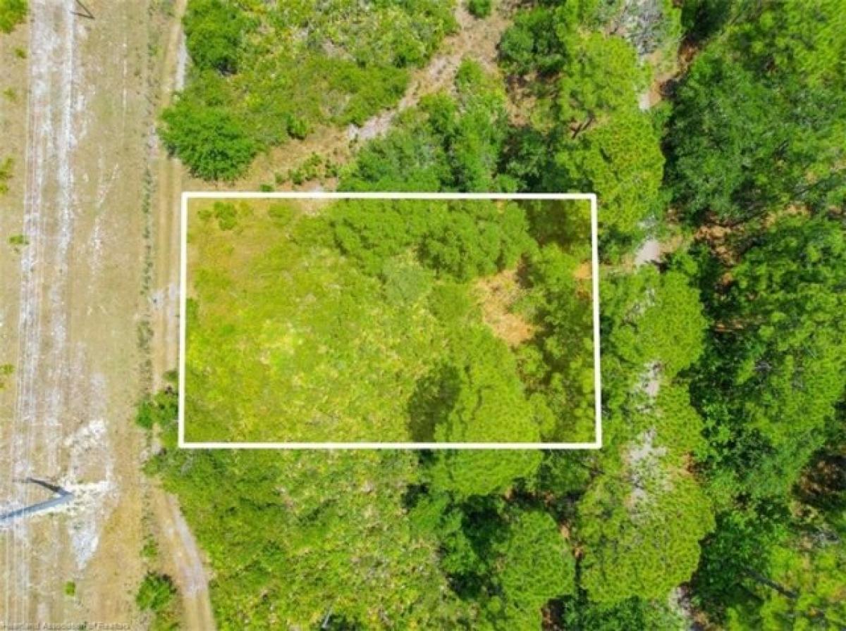 Picture of Residential Land For Sale in Sebring, Florida, United States