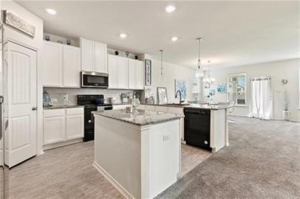 Picture of Home For Rent in Manor, Texas, United States