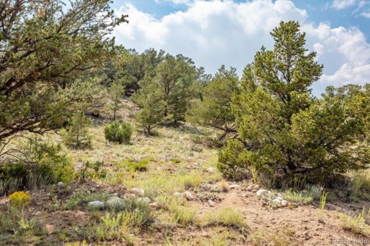 Picture of Residential Land For Sale in Salida, Colorado, United States