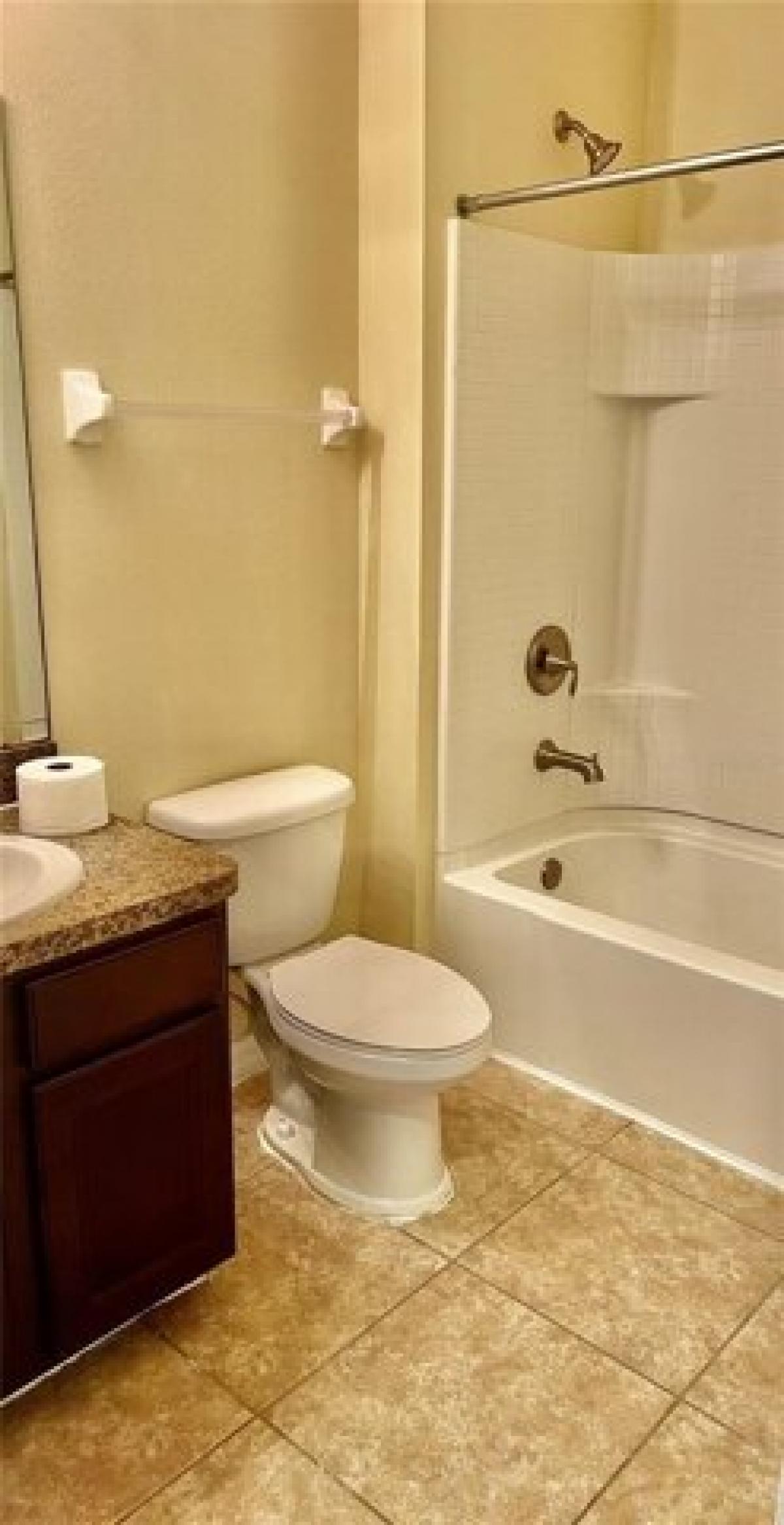 Picture of Home For Rent in Wesley Chapel, Florida, United States