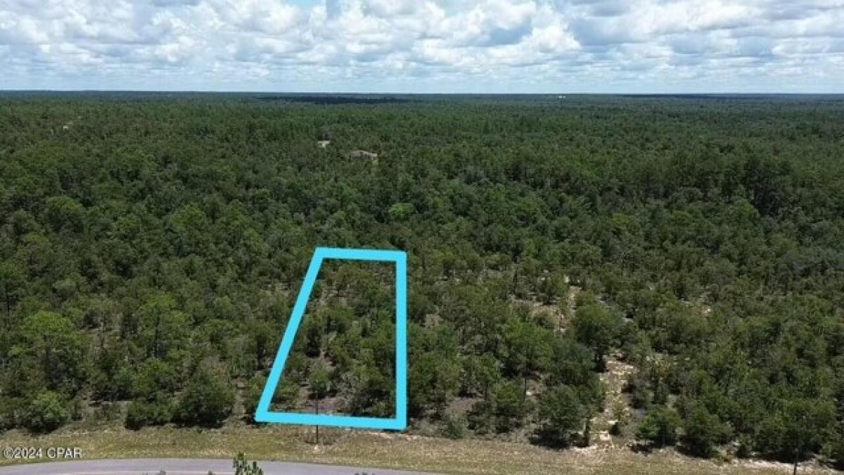 Picture of Residential Land For Sale in Chipley, Florida, United States