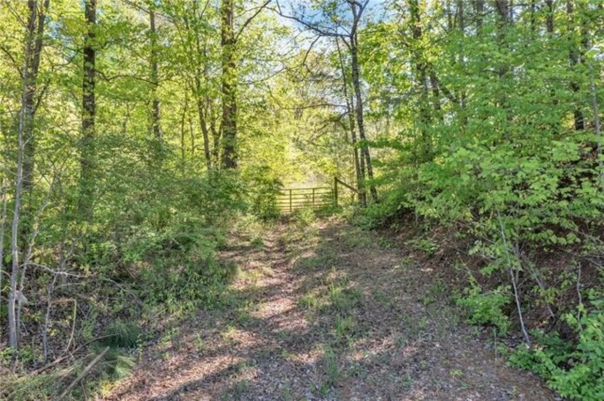 Picture of Residential Land For Sale in Jasper, Georgia, United States