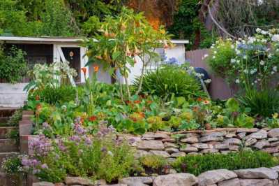 Home For Sale in Vallejo, California