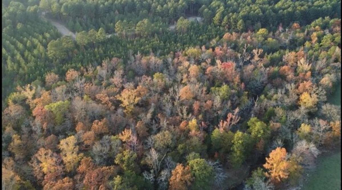 Picture of Residential Land For Sale in Broken Bow, Oklahoma, United States