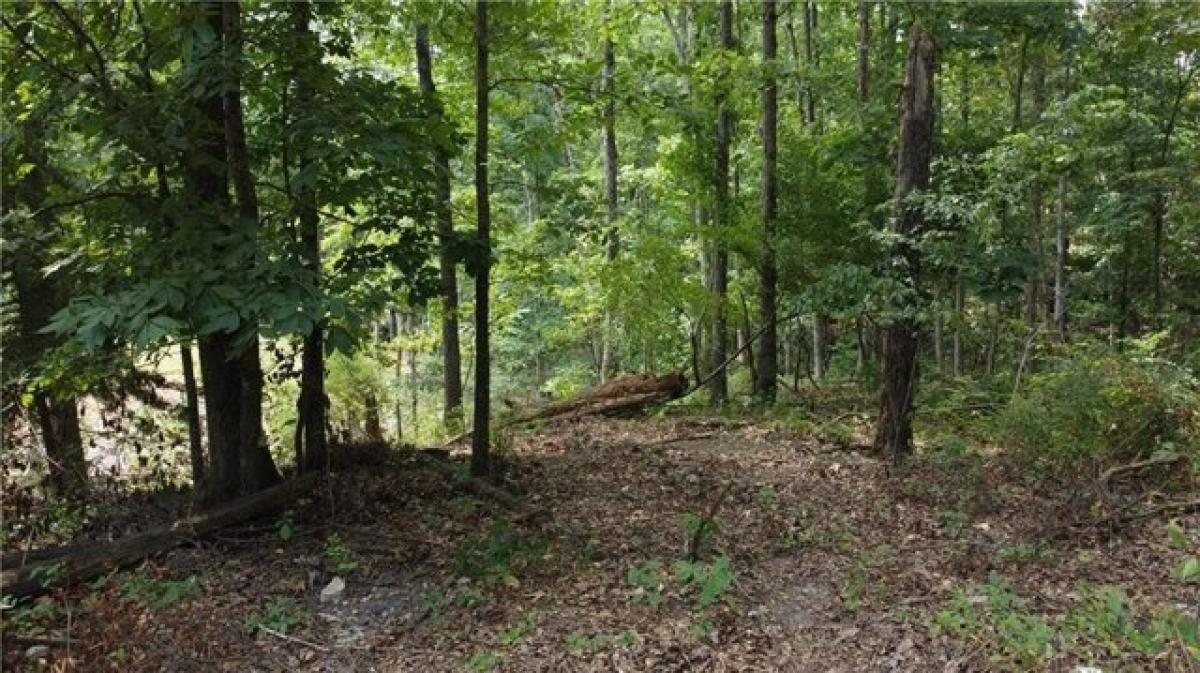 Picture of Residential Land For Sale in Bella Vista, Arkansas, United States