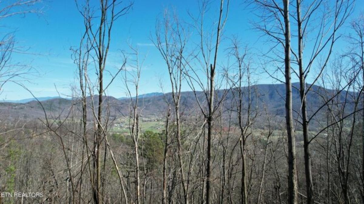 Picture of Residential Land For Sale in Sevierville, Tennessee, United States