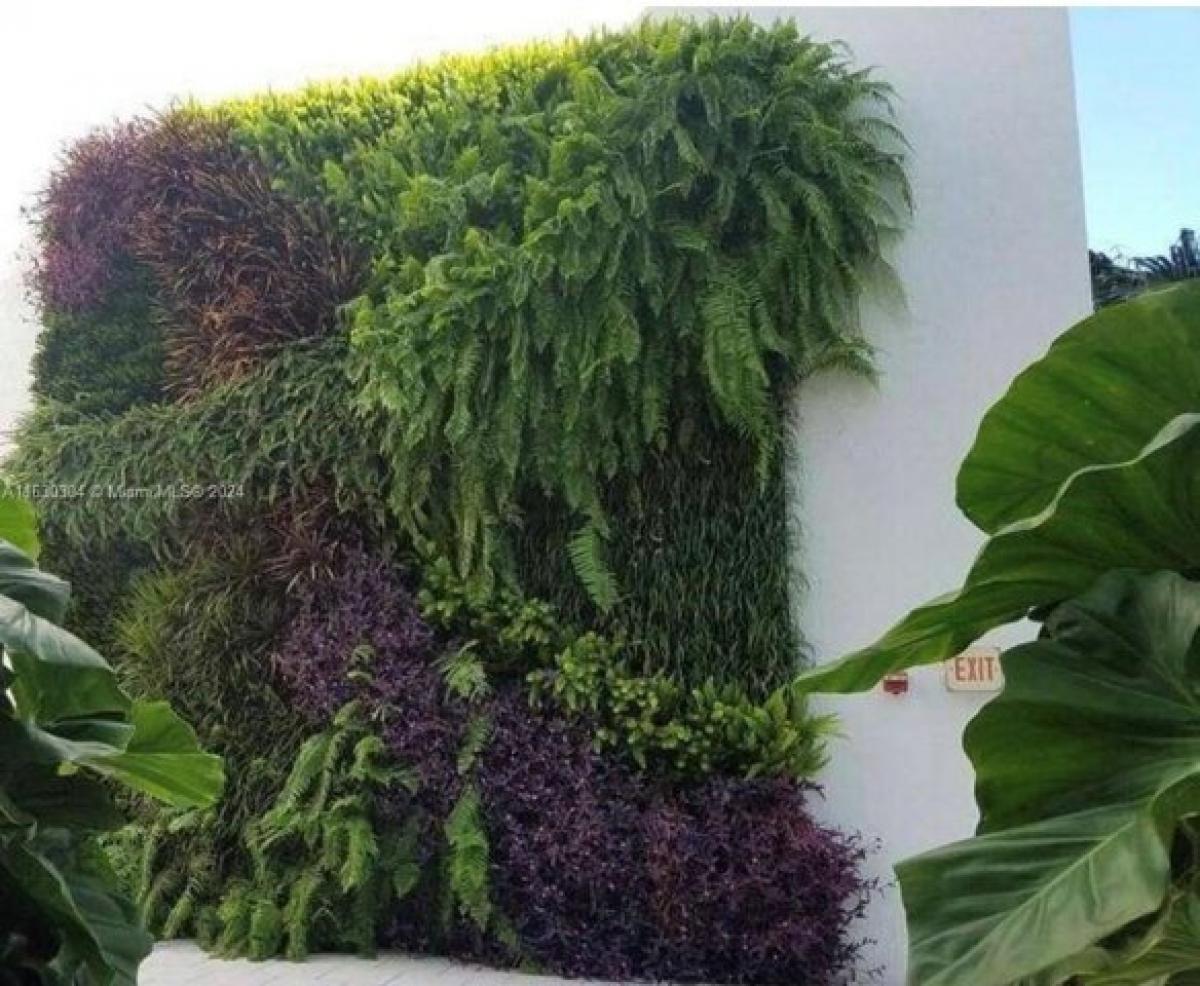 Picture of Apartment For Rent in Miami Beach, Florida, United States