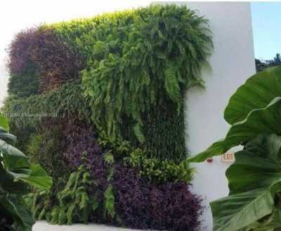 Apartment For Rent in Miami Beach, Florida