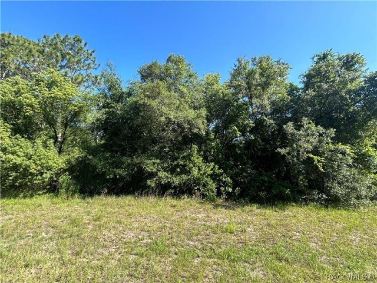 Picture of Residential Land For Sale in Citrus Springs, Florida, United States