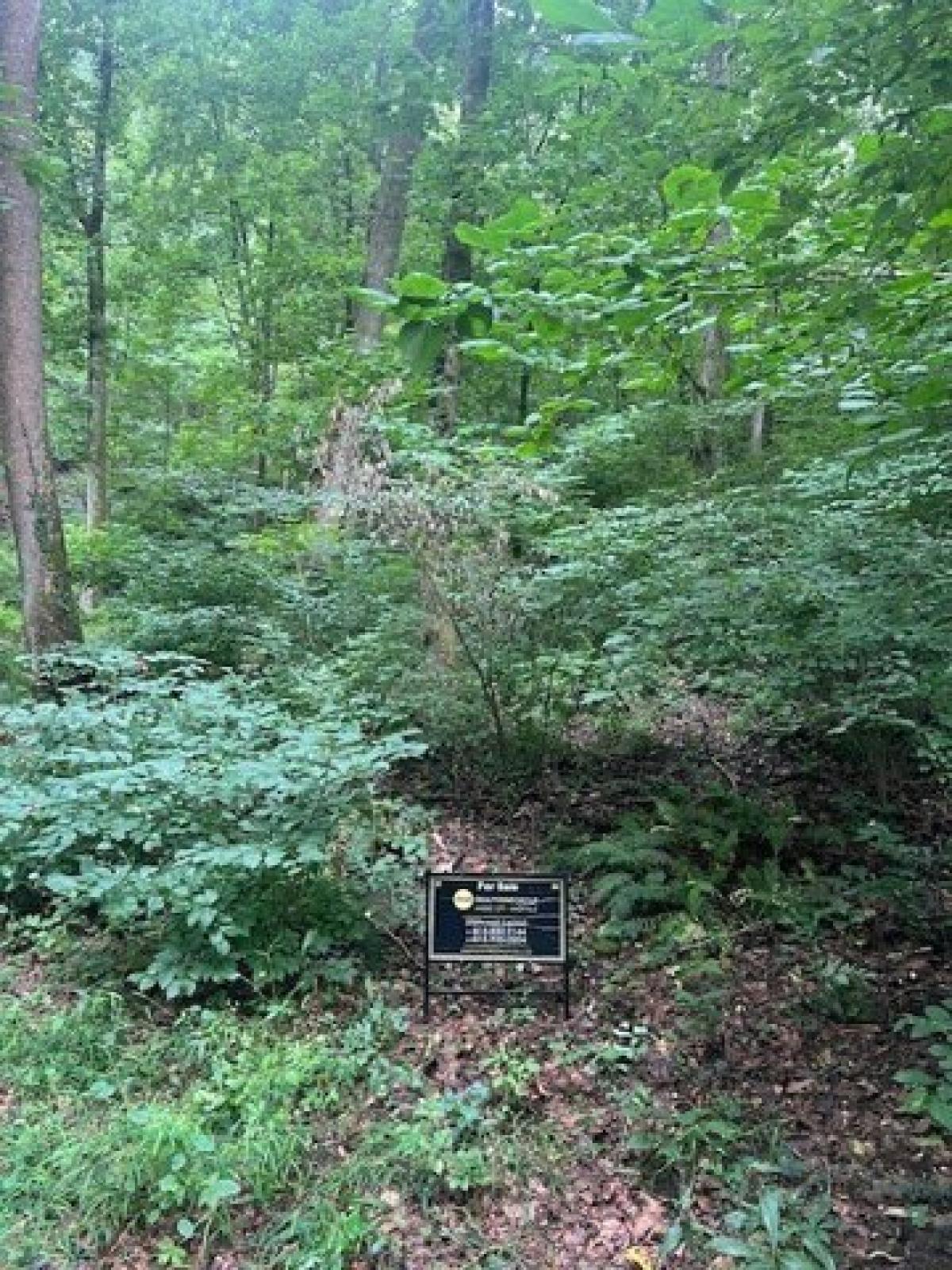 Picture of Residential Land For Sale in Nashville, Tennessee, United States