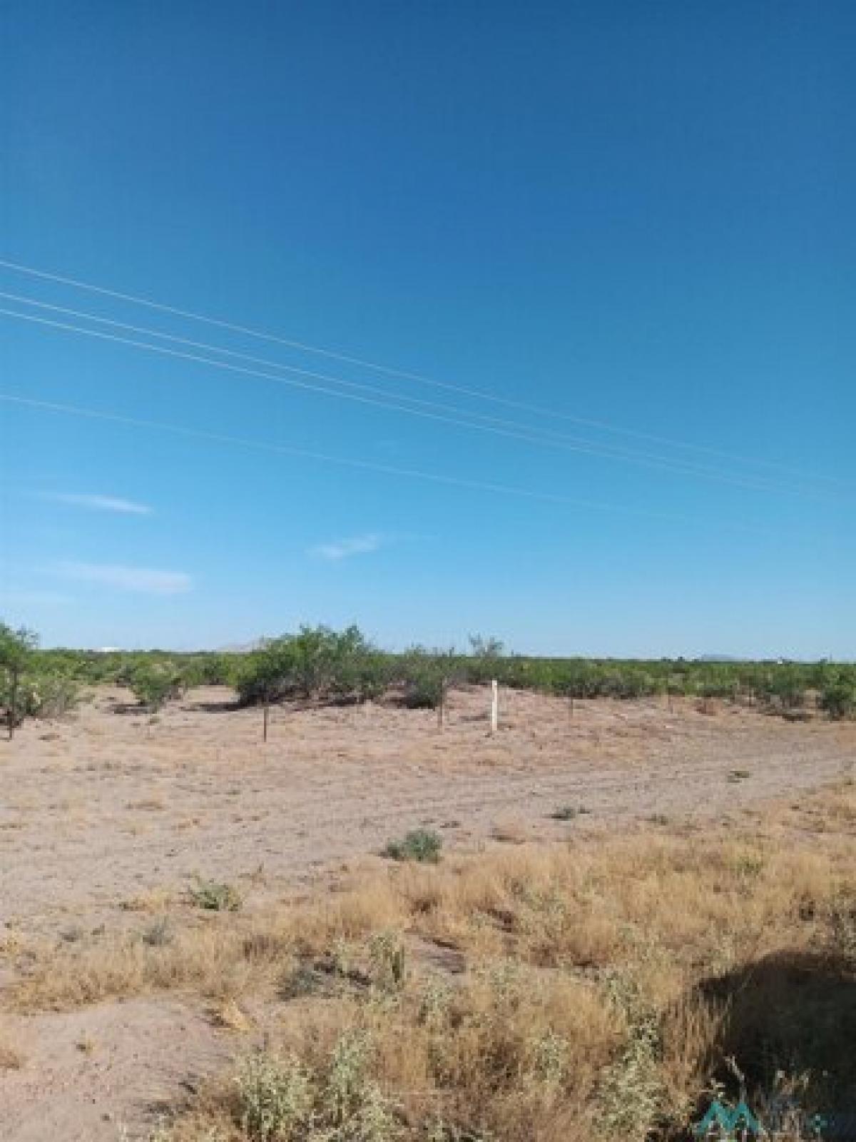 Picture of Residential Land For Sale in Deming, New Mexico, United States