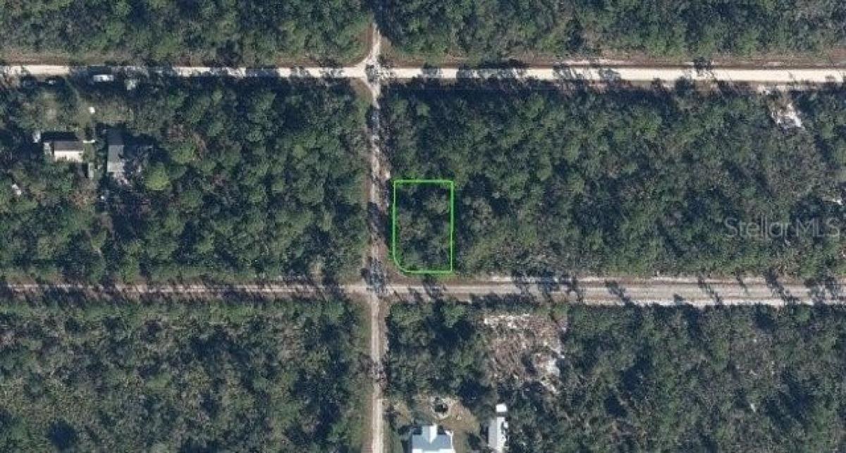 Picture of Residential Land For Sale in Lake Placid, Florida, United States