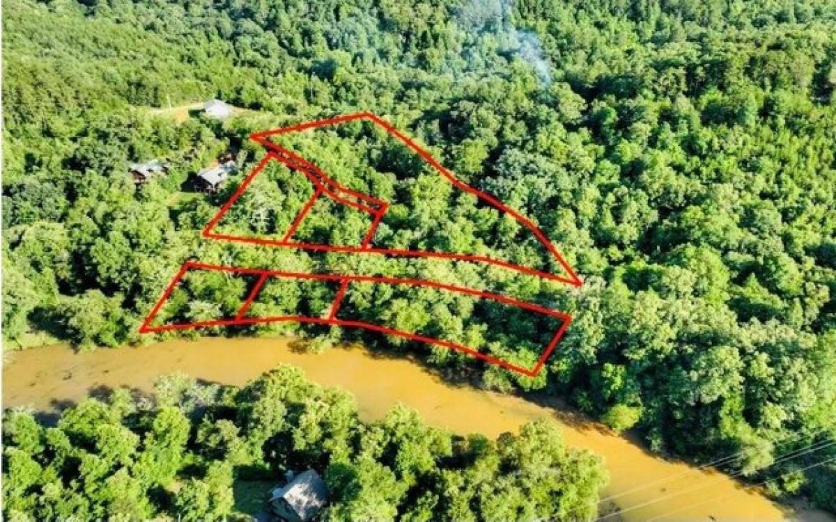 Picture of Residential Land For Sale in Blue Ridge, Georgia, United States