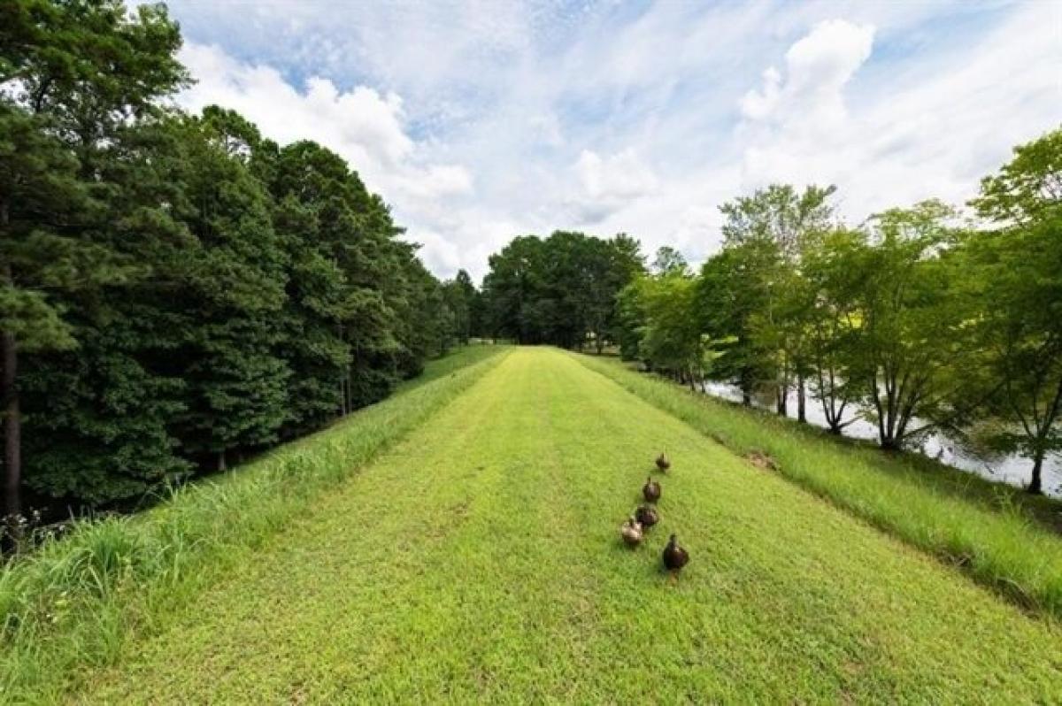 Picture of Residential Land For Sale in Milton, Georgia, United States