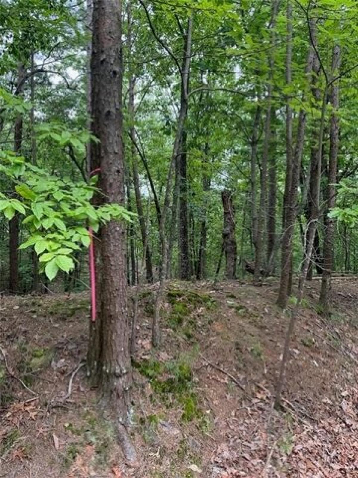 Picture of Residential Land For Sale in Canton, Georgia, United States