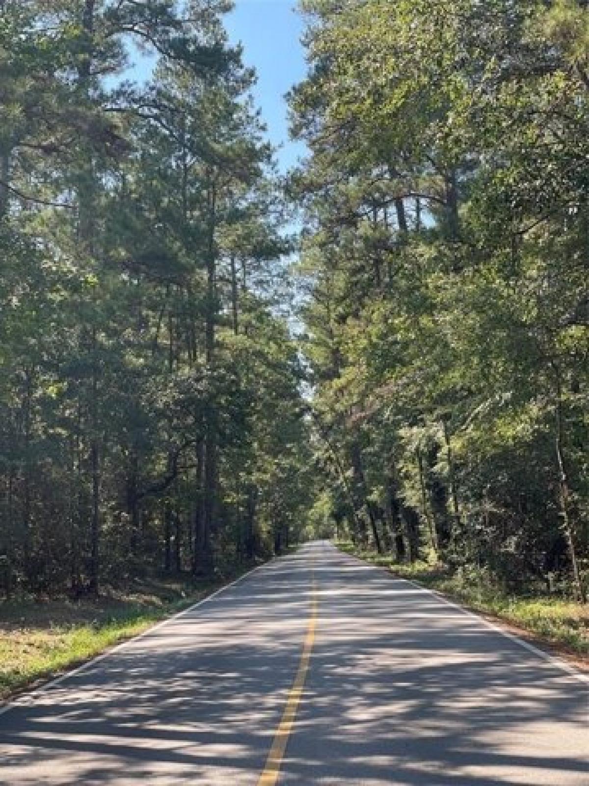 Picture of Residential Land For Sale in Montgomery, Texas, United States