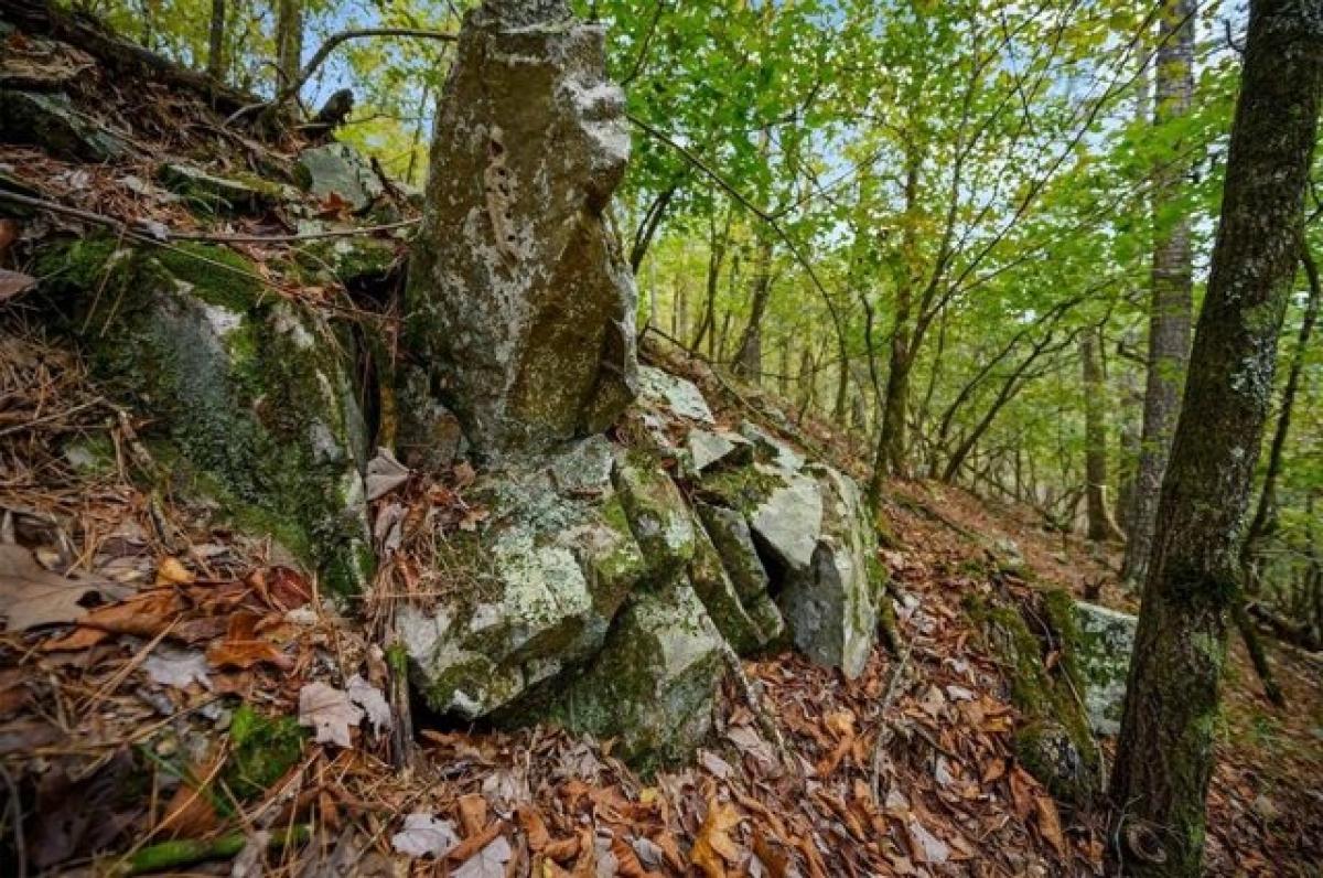 Picture of Residential Land For Sale in Broken Bow, Oklahoma, United States