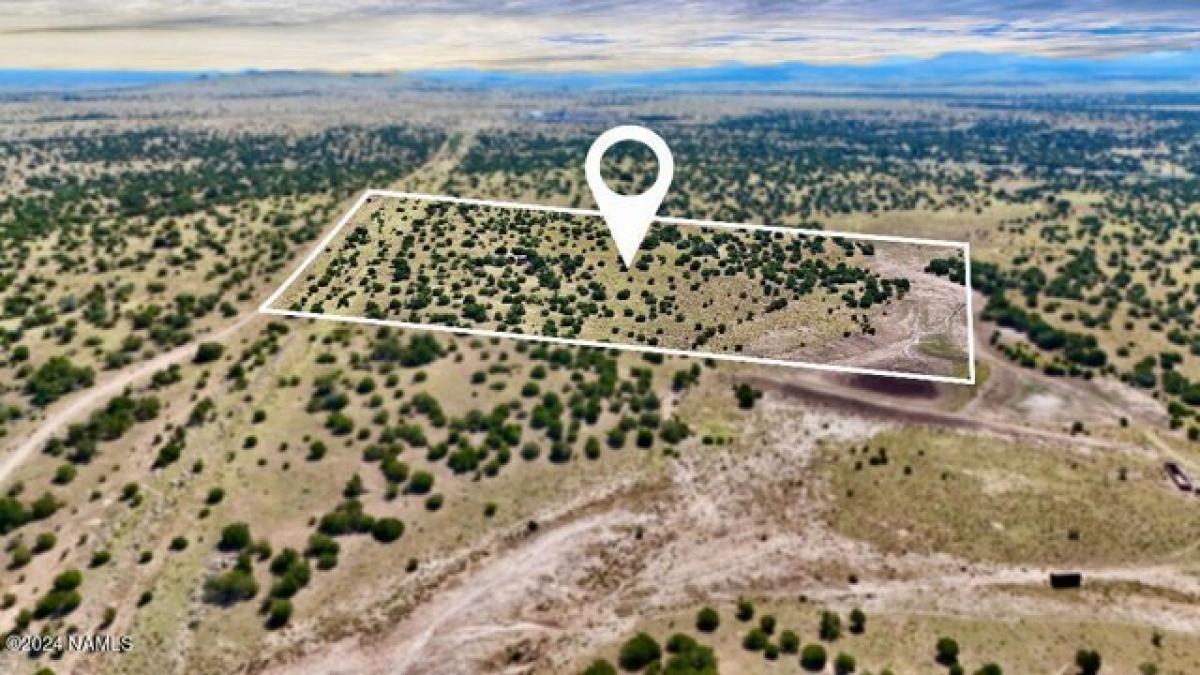 Picture of Residential Land For Sale in Williams, Arizona, United States