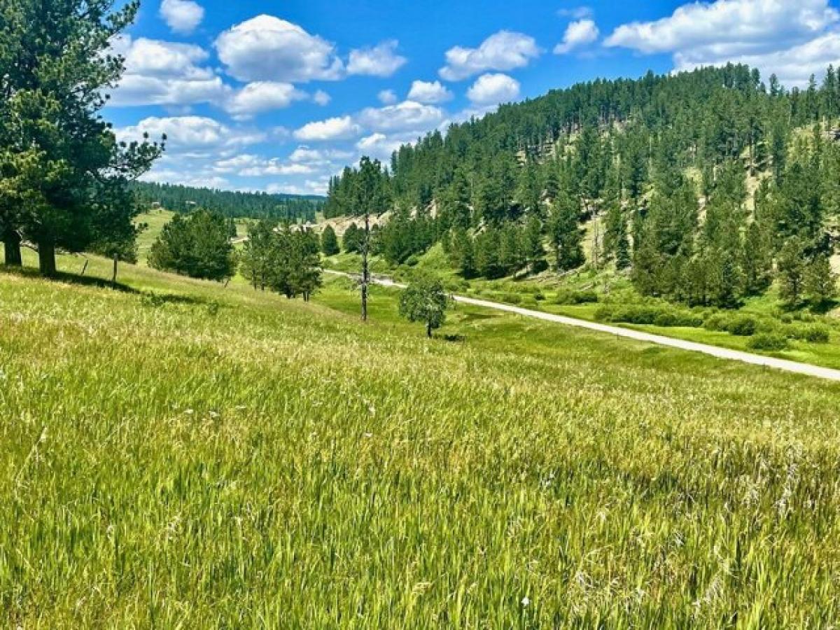 Picture of Residential Land For Sale in Lead, South Dakota, United States