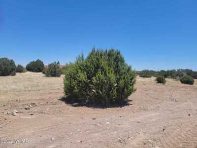 Residential Land For Sale in Show Low, Arizona