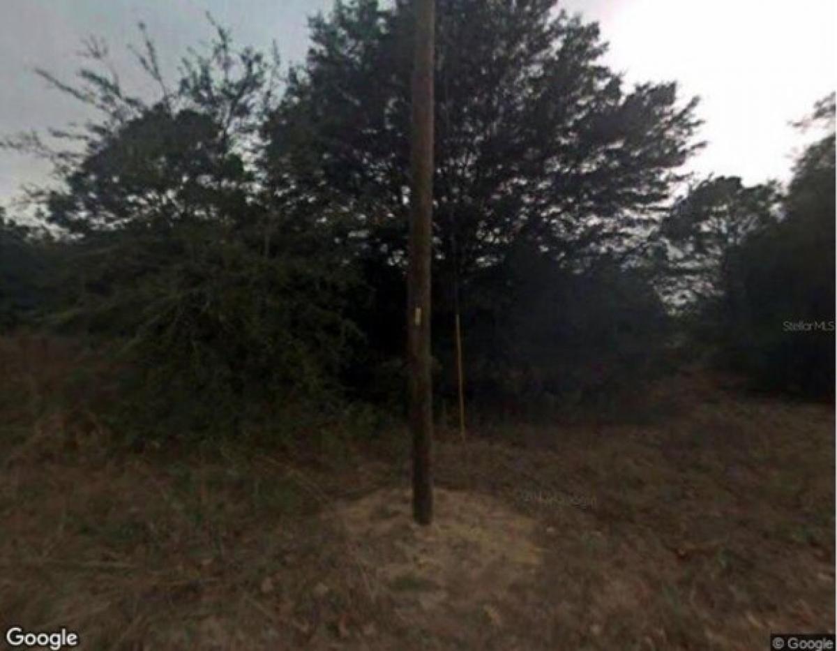 Picture of Residential Land For Sale in Inverness, Florida, United States